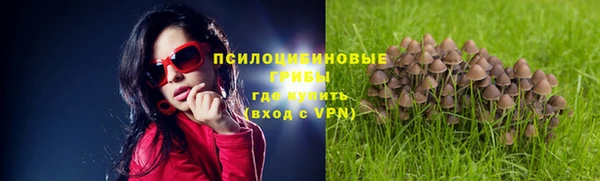 a pvp Алексин