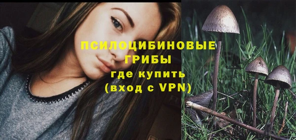 тгк Алексеевка